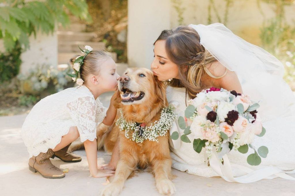 Welcoming Dogs to Your Wedding: A Trend on the&nbsp;Rise