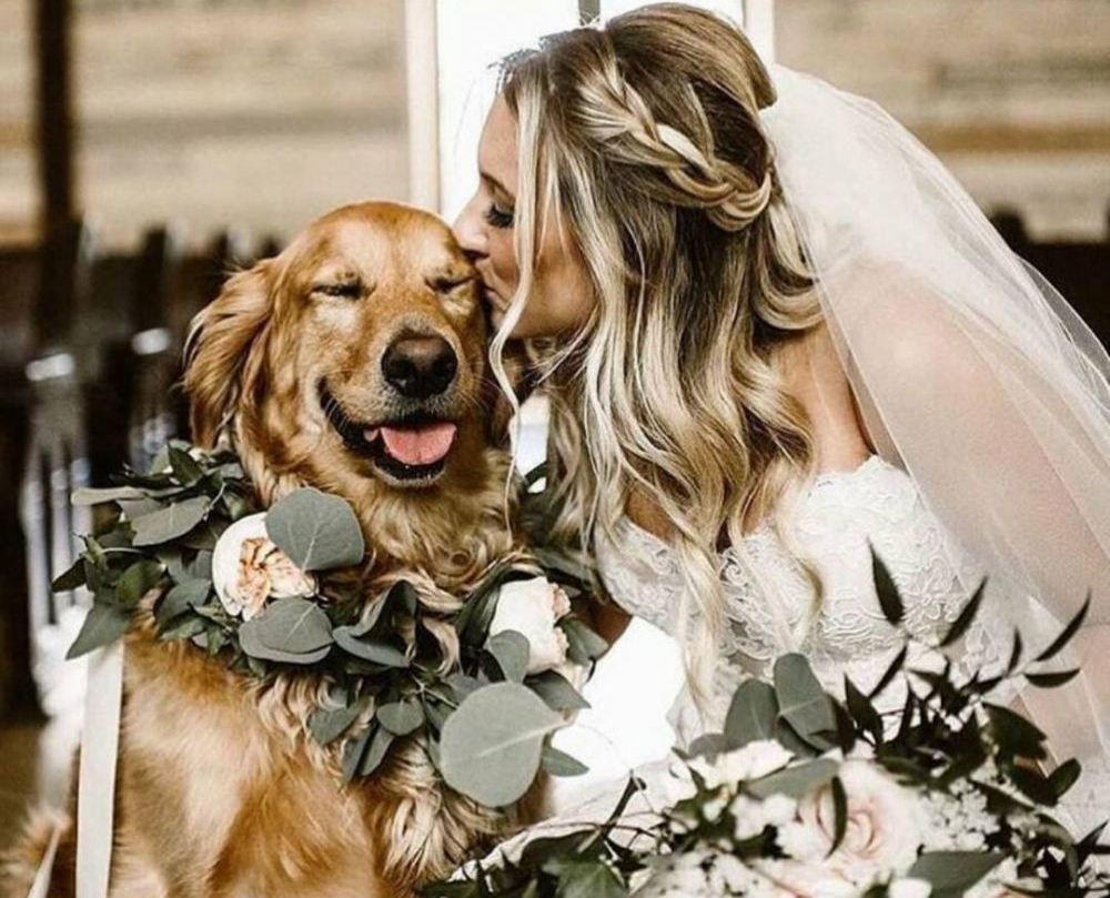 The Do’s and Don’ts of Including Your Pet in Your&nbsp;Wedding