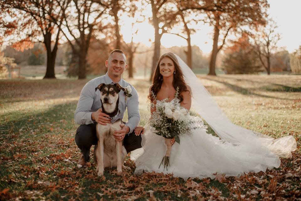 Capturing Cherished Moments: Tips for Posing with Your Canine&nbsp;Friends